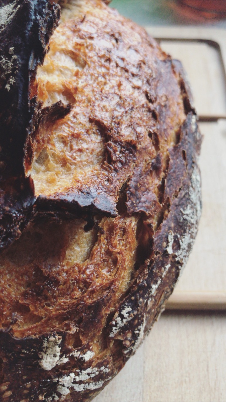 Loaf #4, close-up of the crust